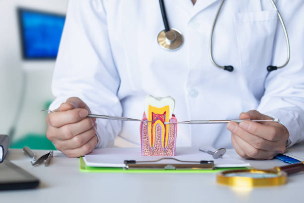 Best Emergency Root Canal Treatment in Freeman, SD